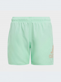 Шорты для плавания Adidas модель IC7697 Фото