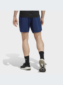 Шорты спортивные Adidas модель IC2043 Фото