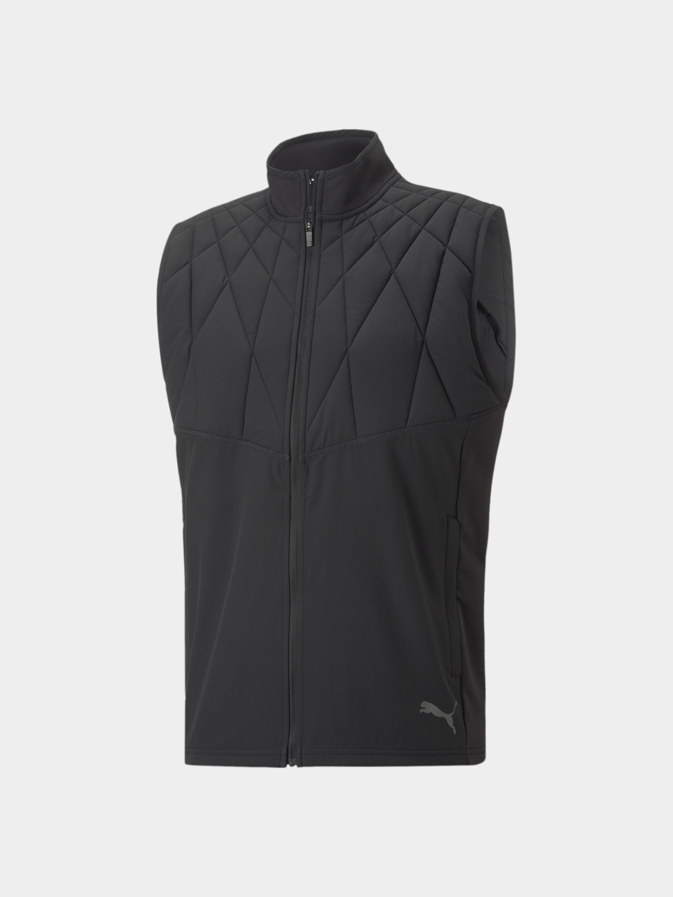 Утепленный жилет PUMA Run Cloudspun Wrmlbl Vest модель 522408 Утепленный жилет PUMA Run Cloudspun Wrmlbl Vest модель 522408 Фото