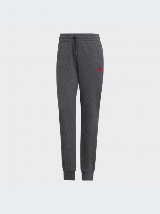 Джоггеры Adidas модель HD1698 Фото