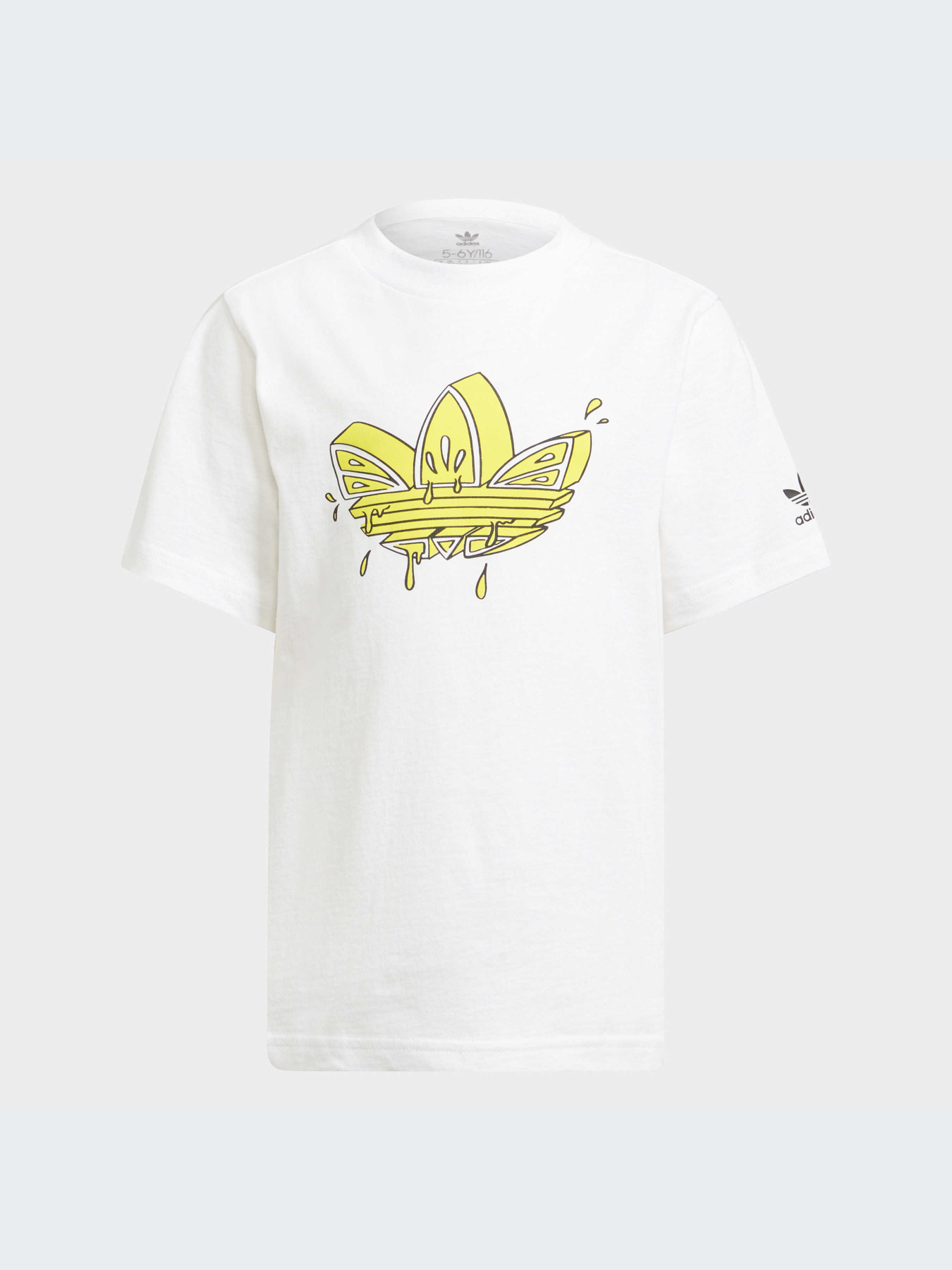 Спортивний костюм Adidas Graphics модель GN4145 Фото