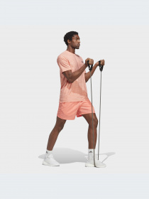 Шорты спортивные Adidas Clima модель IC6981 Фото