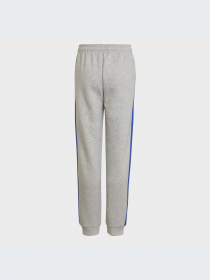 Спортивні штани Adidas модель HN6712 Фото