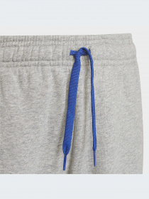 Спортивні штани Adidas модель HN6712 Фото