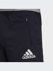 Шорты спортивные Adidas Clima модель GV5303 Фото