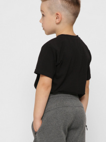 Футболка CARICA модель FK120048 Футболка CARICA модель FK120048 Фото