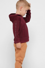 Худі CARICA модель HD1200216 Фото