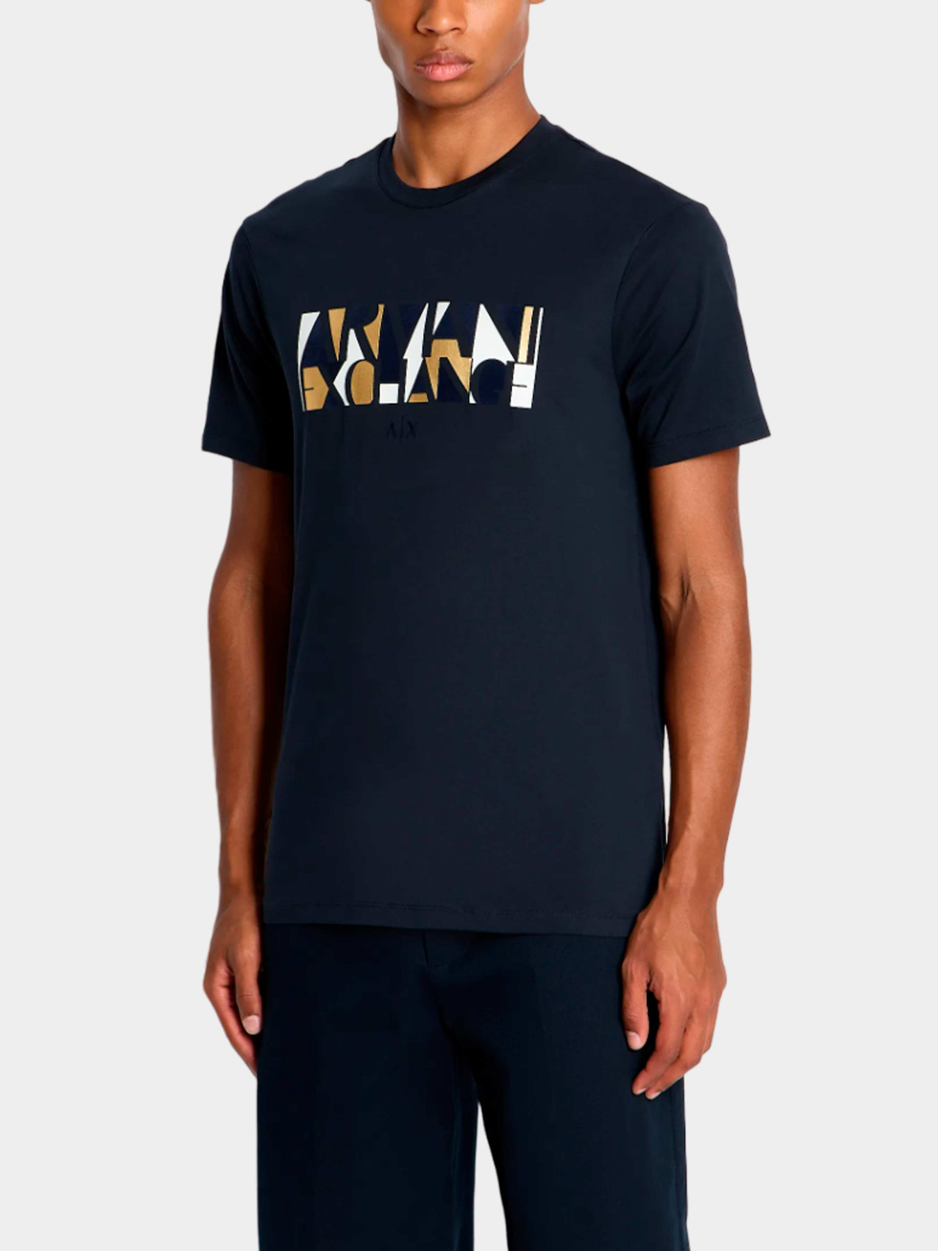 Футболки и поло Armani Exchange модель 6RZTJC-ZJBYZ-1510 Фото