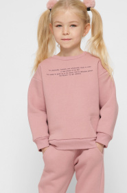 Світшот CARICA модель SV1200125 Світшот CARICA модель SV1200125 Фото