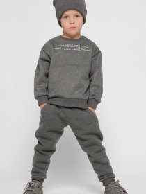 Свитшот CARICA модель SV1200129 Фото