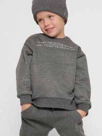 Свитшот CARICA модель SV1200129 Фото