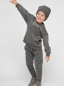 Свитшот CARICA модель SV1200129 Фото