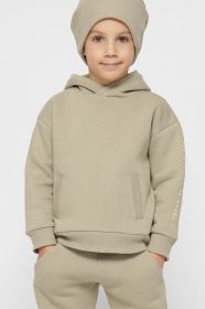 Худі CARICA модель HD1200232 Худі CARICA модель HD1200232 Фото