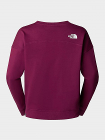 Худи и свитшоты The North Face модель NF0A3S4GI0H1 Фото