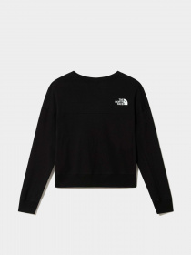 Худи и свитшоты The North Face модель NF0A4917JK31 Фото