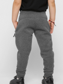 Джоггеры CARICA модель BR1200F29 Фото