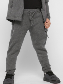 Джоггеры CARICA модель BR1200F29 Фото