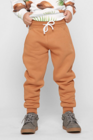 Брюки повседневные CARICA модель BR12015F6 Фото