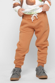 Брюки повседневные CARICA модель BR12015F6 Фото