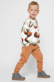 Повседневные штаны CARICA модель BR12015F6 Фото