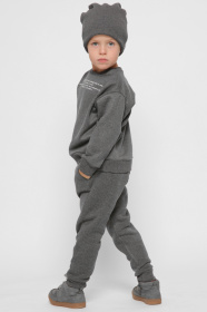 Брюки повседневные CARICA модель BR12015F29 Фото