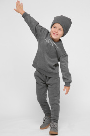 Повседневные штаны CARICA модель BR12015F29 Фото