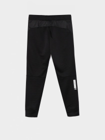 Брюки The North Face модель NF0A82E5JK31 Фото