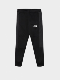 Брюки The North Face модель NF0A82E5JK31 Фото