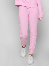 Спортивні штани CARICA модель BR428015 Фото