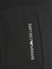 Брюки Emporio Armani модель 164767-3F265-00020 Фото