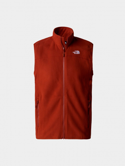 Худи и свитшоты The North Face модель NF0A7SSLUBC1 Фото