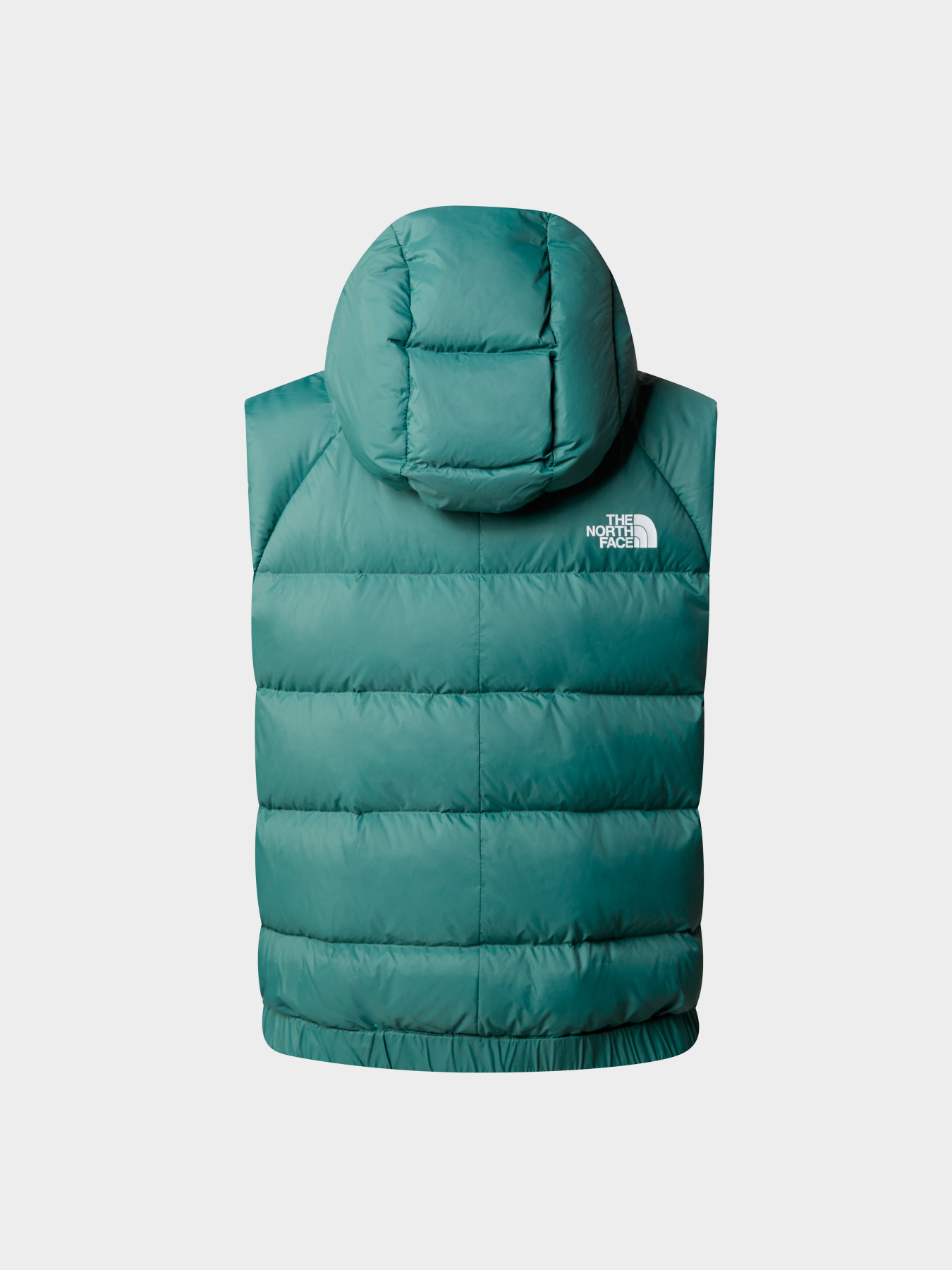 Куртки и дубленки The North Face модель NF0A7SXEI0F1 Фото
