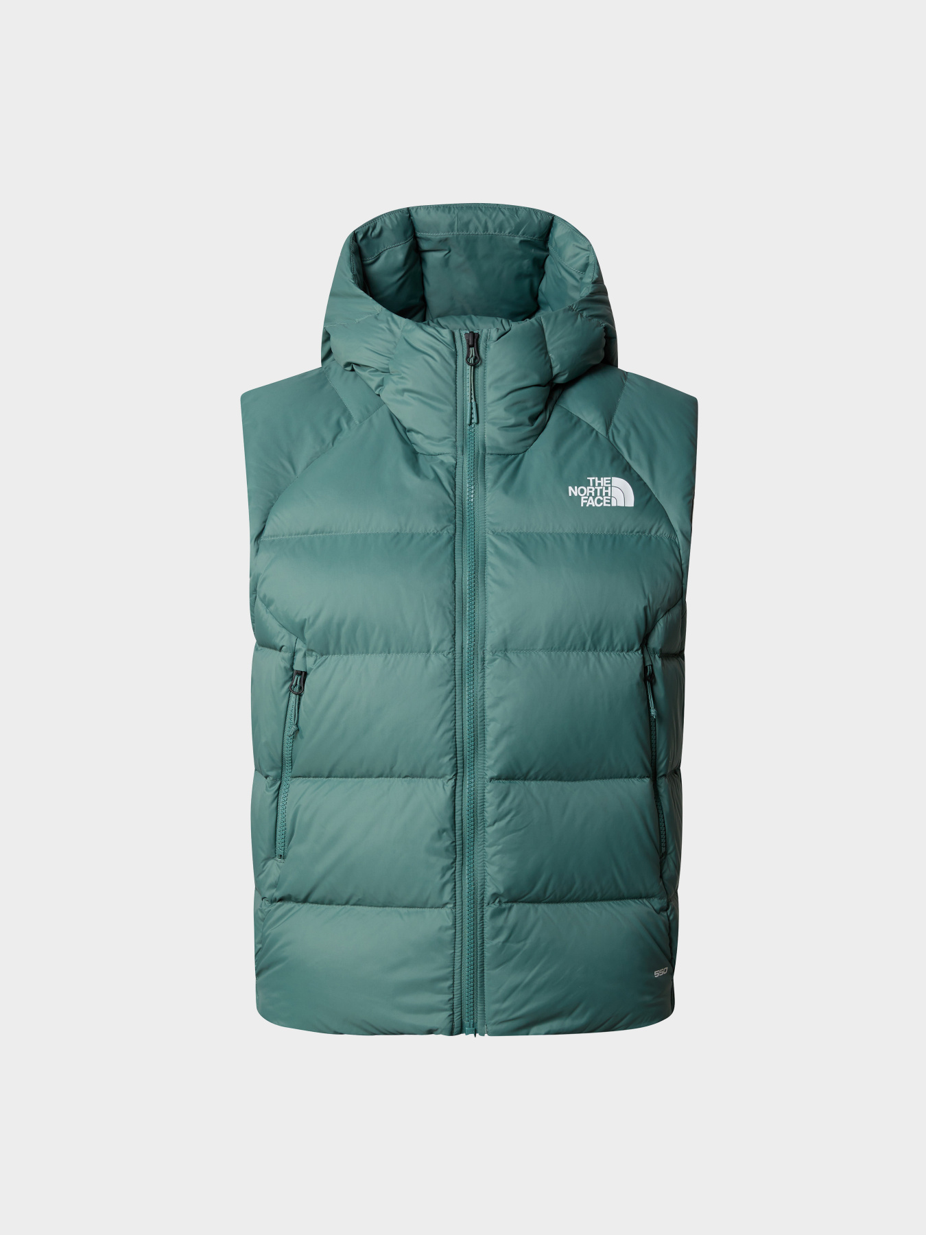 Куртки и дубленки The North Face модель NF0A7SXEI0F1 Фото
