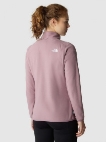 Худи и свитшоты The North Face модель NF0A855OI0V1 Фото