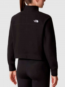 Худи и свитшоты The North Face модель NF0A855PJK31 Фото