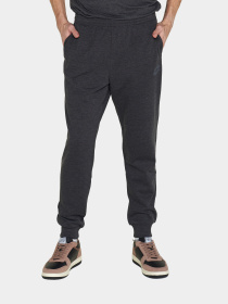 Штаны спортивные Lotto модель 219886_9Y7 Фото