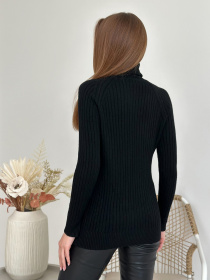 Водолазка ISSA Plus модель WN20-582_черный Фото