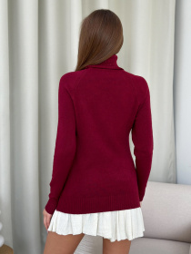 Водолазка ISSA Plus модель WN20-581_бордовый Фото