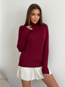 Водолазка ISSA Plus модель WN20-581_бордовый Фото