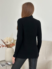 Водолазка ISSA Plus модель WN20-583_черный Фото