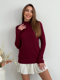 Водолазка ISSA Plus модель WN20-583_бордовый Фото