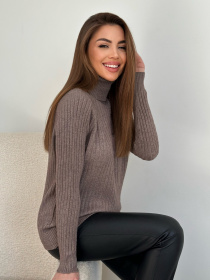 Водолазка ISSA Plus модель WN20-582_темно_бежевый Фото