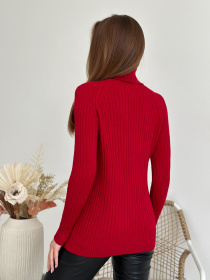 Водолазка ISSA Plus модель WN20-582_красный Фото