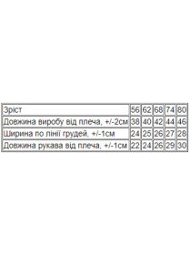 Одежда для младенцев Носи своє модель 5010-016-4-goroh-blakitnij Фото