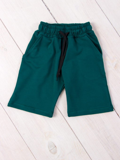 Повседневные шорты Носи своє модель 6208-057-butilochnij Фото