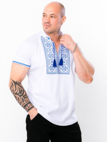 Вышитая рубашка Носи своє модель 8606-038-22-blakitnij Фото