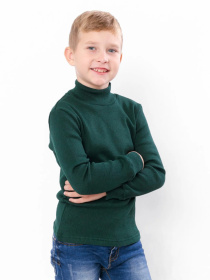 Водолазка Носи своє модель 6068-021-temno-zelenij Фото