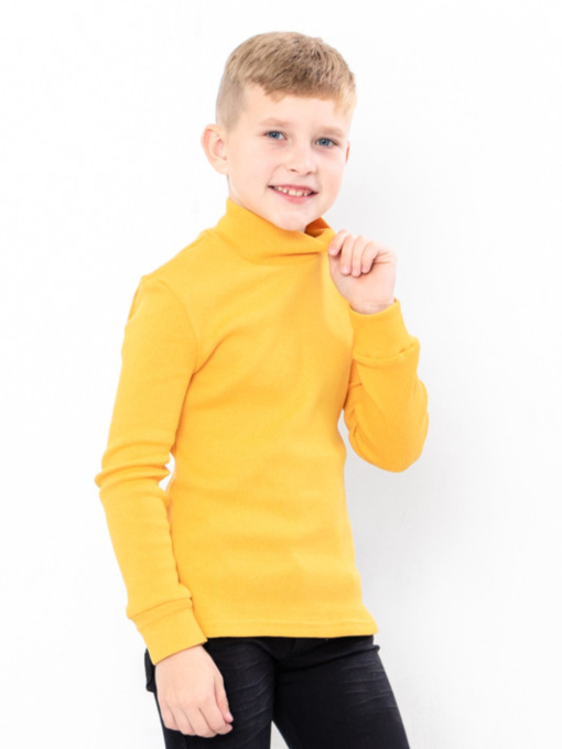 Водолазка Носи своє модель 6068-021-grchicq Фото