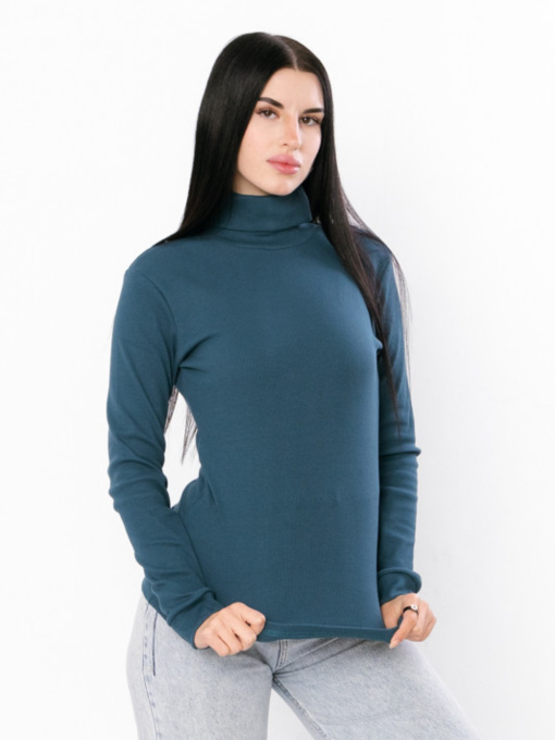Водолазка Носи своє модель 8047-019-1-murena Фото