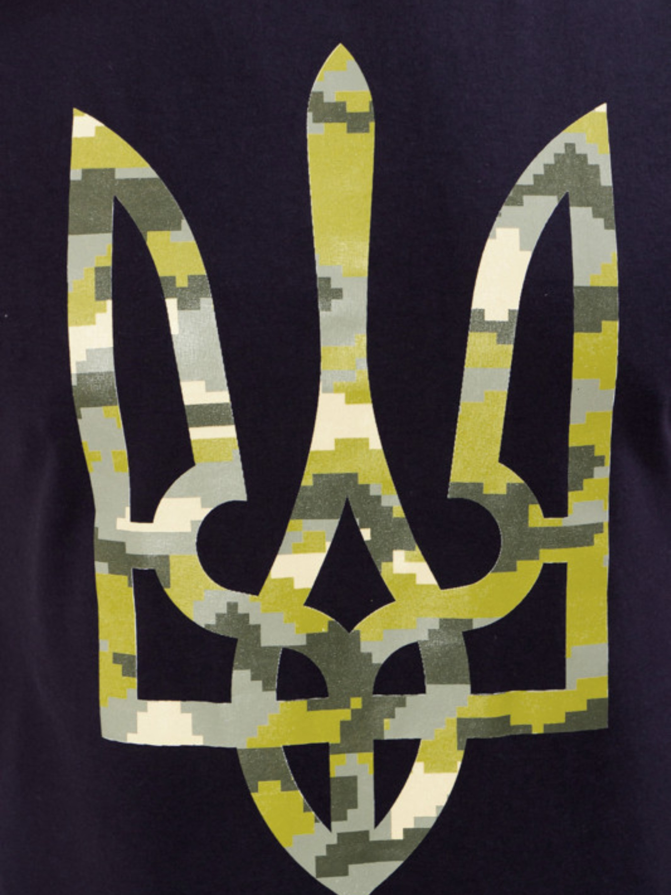 Футболка Носи своє модель 8073-001-33-chornij-gerb Фото